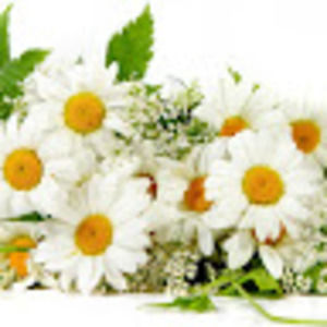 Meet your Posher, Gao